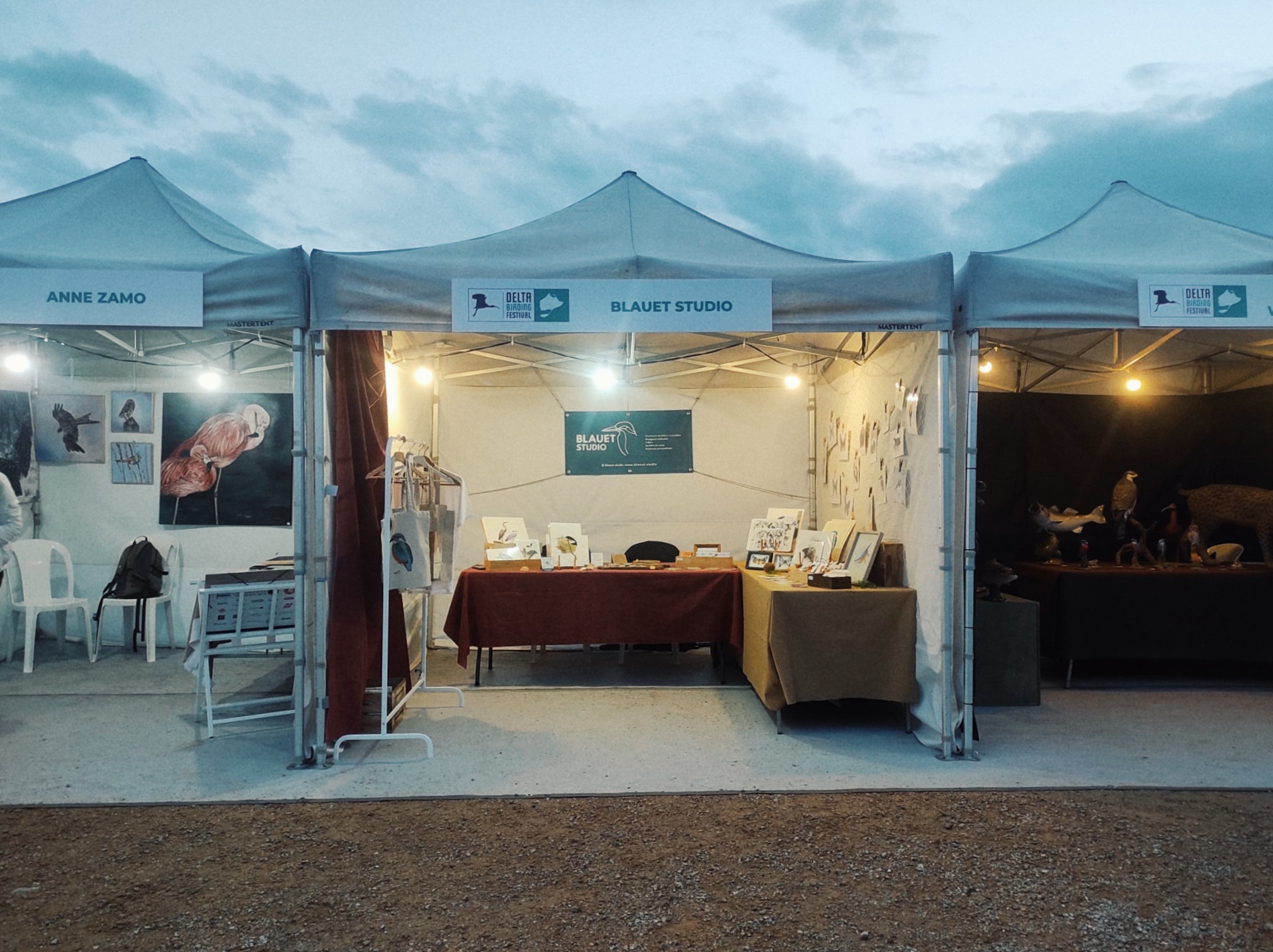 DELTA BIRDING FESTIVAL (19, 20, i 21 de septembre)