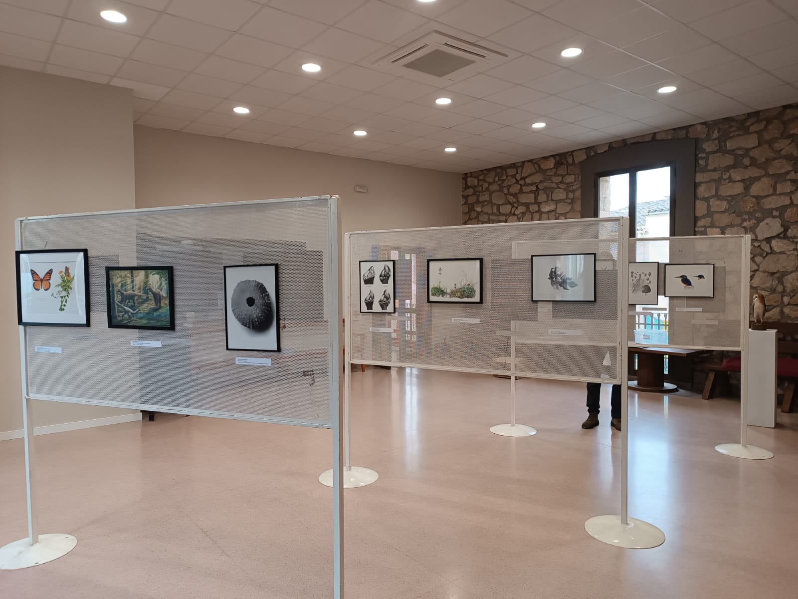 Exposició a Castelldans